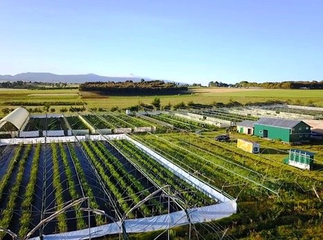 Tamalu Farm（农场 / 高地农业）-非行家旅行-Africa Wild Wander