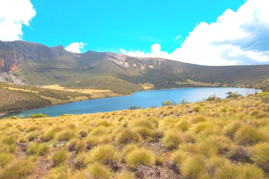 Lake Alice（艾丽斯湖）-非行家旅行-Africa Wild Wander