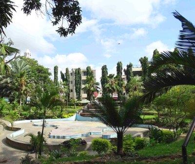 Railways Roundabout Park（生态公园 / 海洋保护）-非行家旅行-Africa Wild Wander