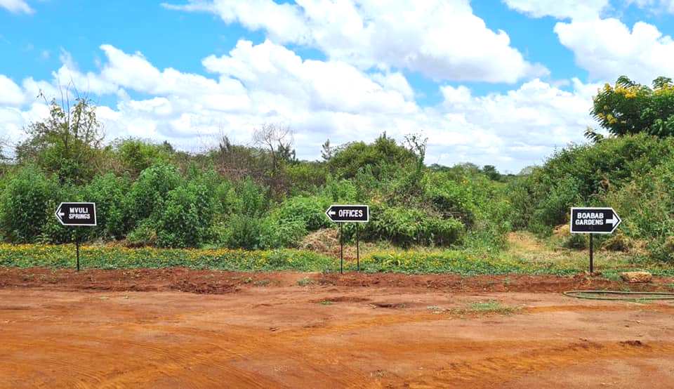 Makuyu Ridge（公路景观 / 休闲设施）-非行家旅行-Africa Wild Wander