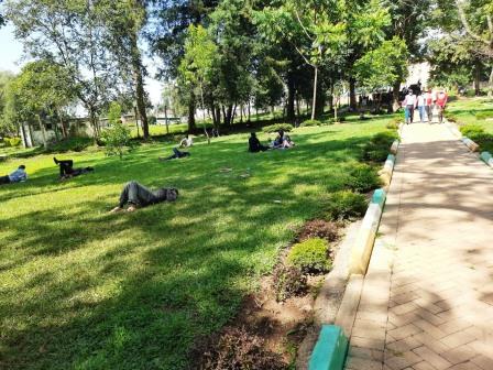 Muliro Garden（穆利罗花园）-非行家旅行-Africa Wild Wander