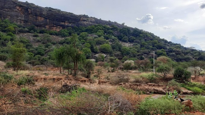Kang'alan Escarpment（自然景观 / 徒步）-非行家旅行-Africa Wild Wander