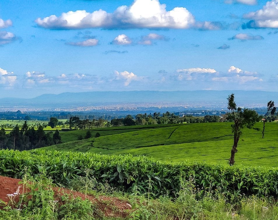 Mua Hills（山地 / 岩石 / 观景）-非行家旅行-Africa Wild Wander