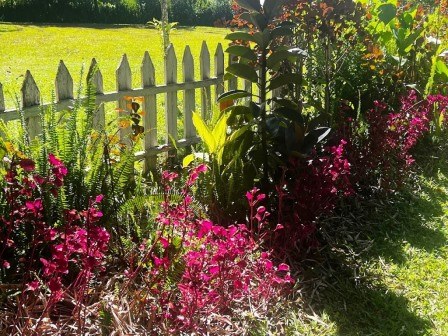 Shilahi Wellness Garden（希拉希康养花园）-非行家旅行-Africa Wild Wander