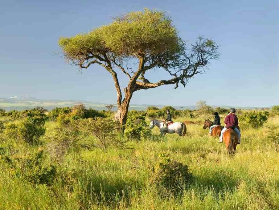Lewa Wildlife Conservancy(莱瓦野生动物保护地)-非行家旅行-Africa Wild Wander