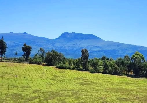 Aberdare Range（阿伯德尔山脉）-非行家旅行-Africa Wild Wander