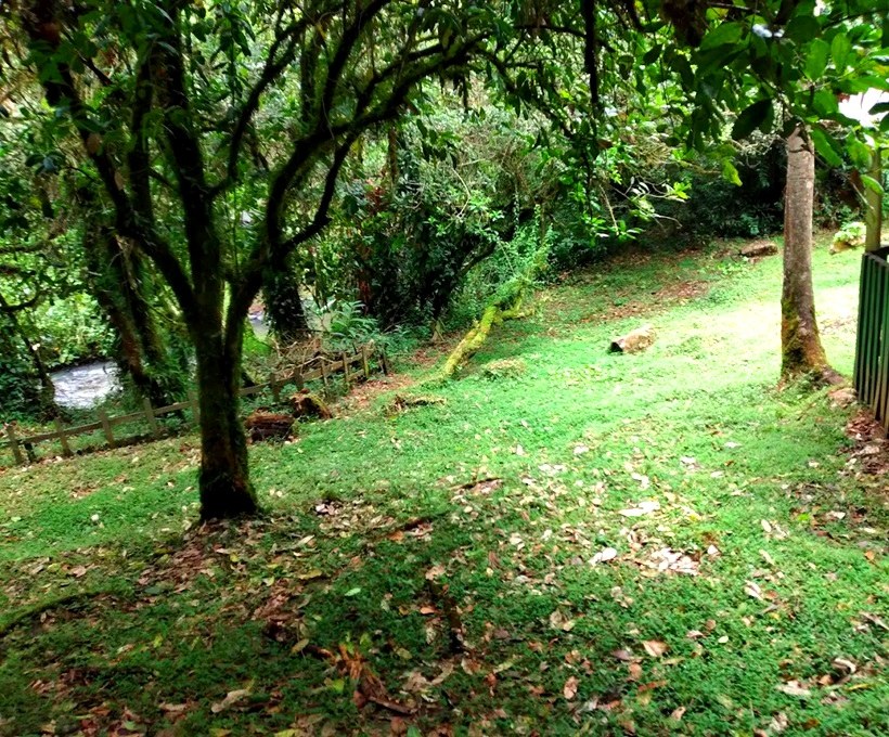 Tagabi Monkey Sanctuary（县域目的地）-非行家旅行-Africa Wild Wander