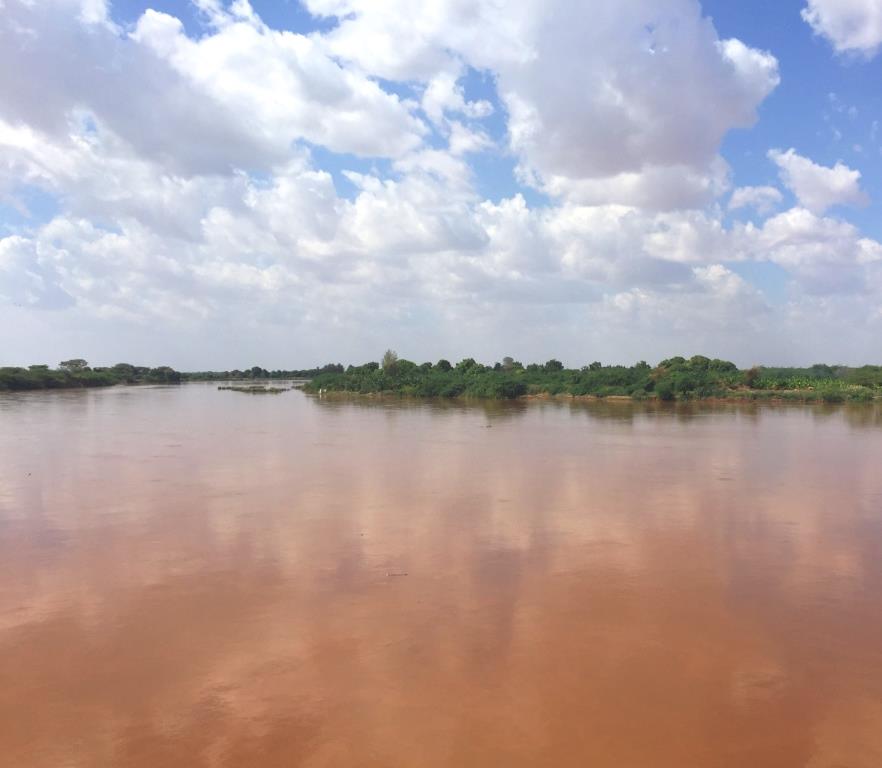 Lake Moa（水系 / 红树林）-非行家旅行-Africa Wild Wander