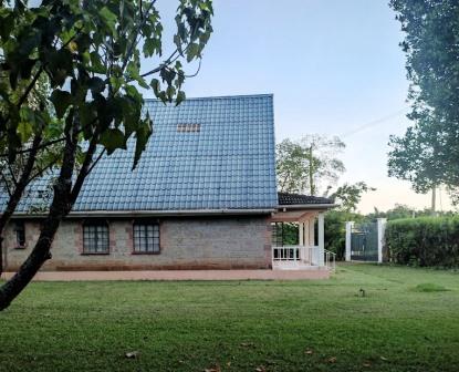 Kijani Camp(基贾尼营地)-非行家旅行-Africa Wild Wander