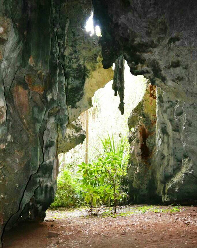 Panga ya Saidi Cave（水系 / 湖泊 / 海岸）-非行家旅行-Africa Wild Wander