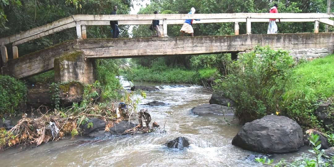 River Sosiani Park（索西亚尼河公园）-非行家旅行-Africa Wild Wander