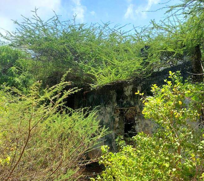 Shanga Ruins（尚加遗址）-非行家旅行-Africa Wild Wander