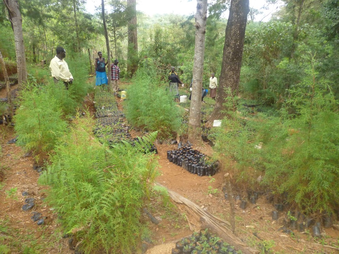 Morop-Tarambas Conservancy-非行家旅行-Africa Wild Wander