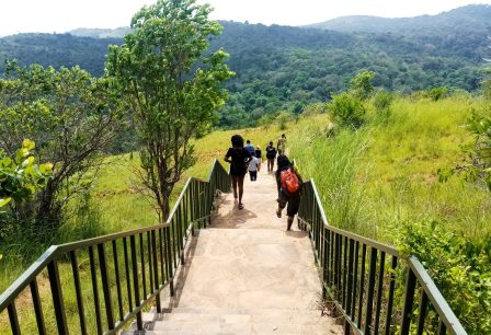 Shimba Hills National Reserve(辛巴山国家保护区)-非行家旅行-Africa Wild Wander
