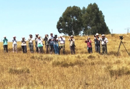 Sharpe’s Longclaw Reserve（县域目的地）-非行家旅行-Africa Wild Wander