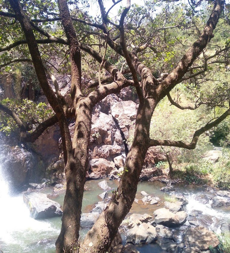 Maragua Falls（马拉瓜瀑布）-非行家旅行-Africa Wild Wander