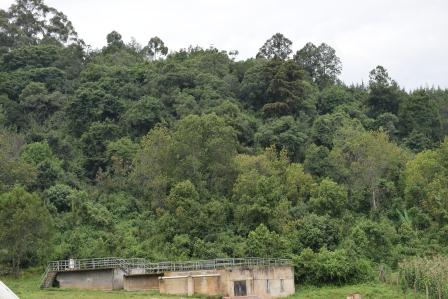 Forests in Kenya（水系 / 湖泊 / 海岸）-非行家旅行-Africa Wild Wander