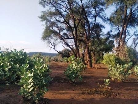 Camping in the North（自然景观 / 徒步）-非行家旅行-Africa Wild Wander