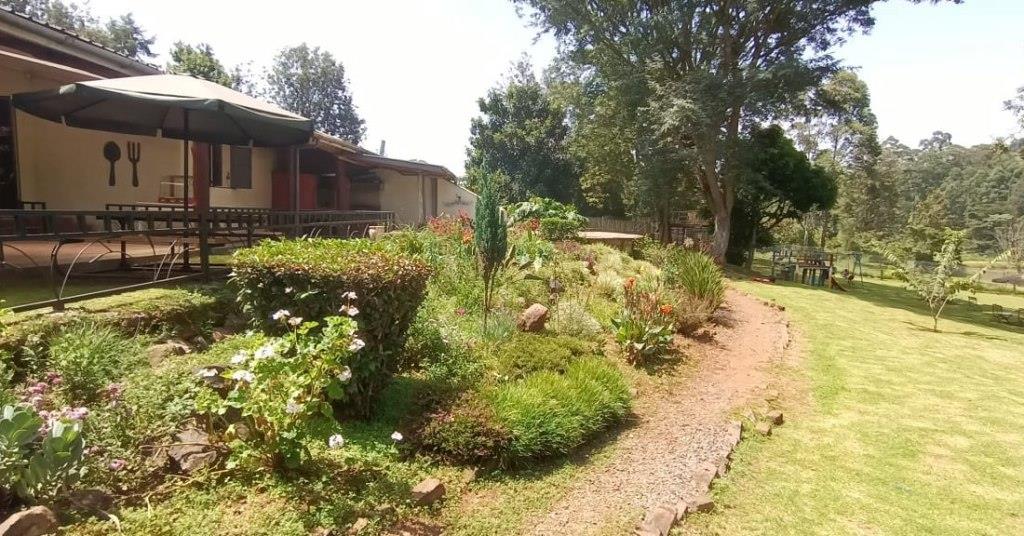 Amanzi Resort（水系 / 湖泊 / 海岸）-非行家旅行-Africa Wild Wander