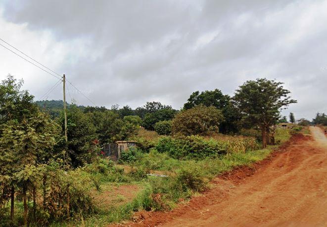 Murinduko Hill Forest(穆林杜科山森林)-非行家旅行-Africa Wild Wander