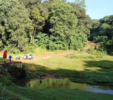 Kapcherop Forest（卡普切罗普森林）-非行家旅行-Africa Wild Wander
