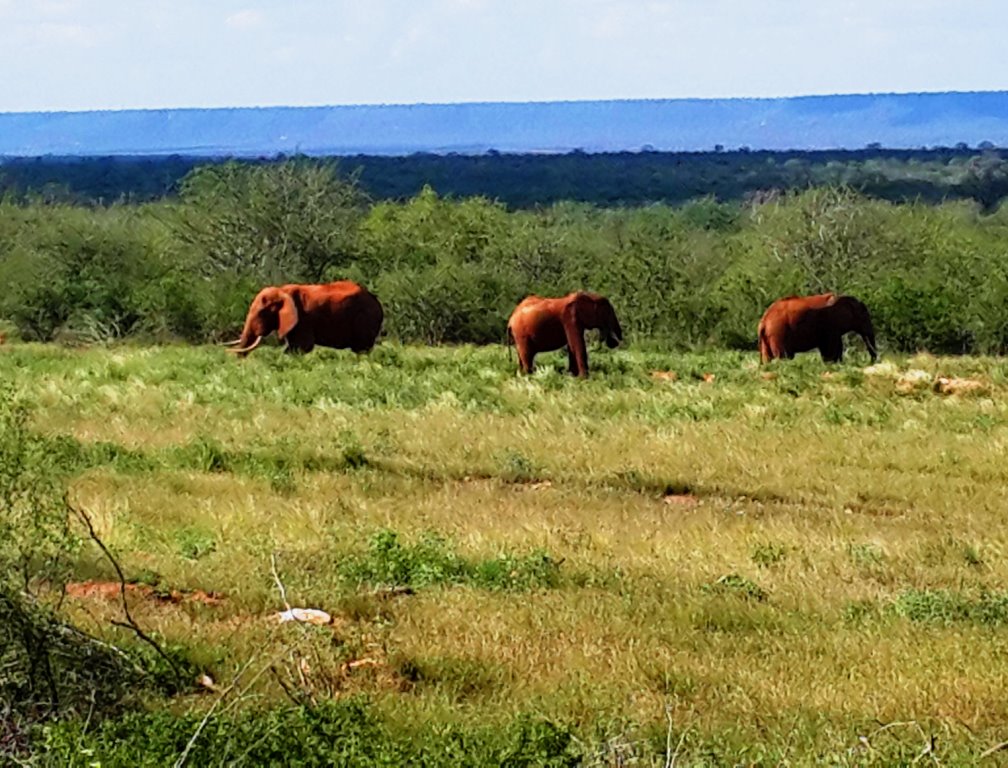 Yatta Plateau（亚塔高原）-非行家旅行-Africa Wild Wander
