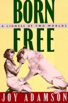 Good Reads Kenya（肯尼亚旅行书单）-非行家旅行-Africa Wild Wander