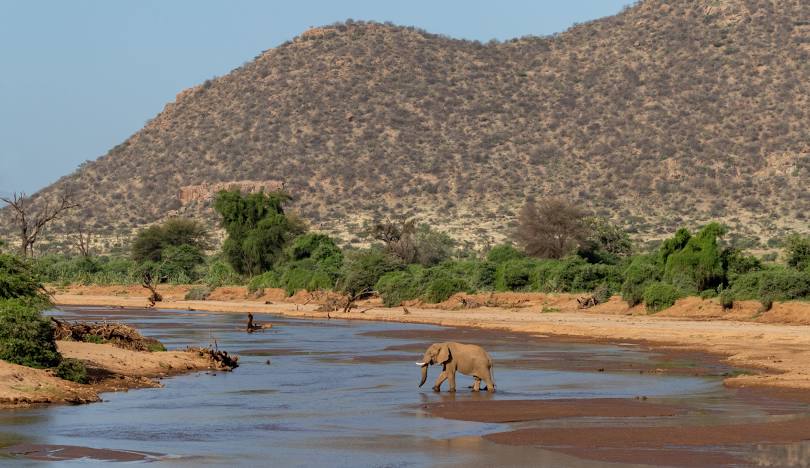Ewaso Nyiro River（水系 / 湖泊 / 海岸）-非行家旅行-Africa Wild Wander