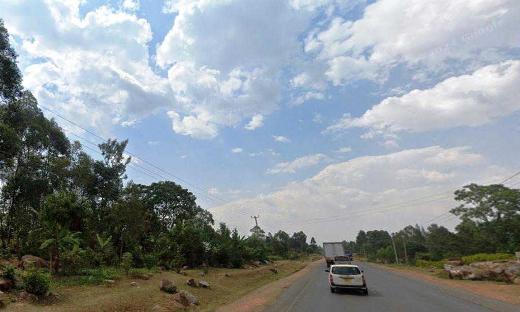 Nganyi Forest(恩甘伊森林)-非行家旅行-Africa Wild Wander