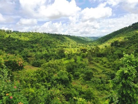 Nithi Bridge（尼蒂桥）-非行家旅行-Africa Wild Wander