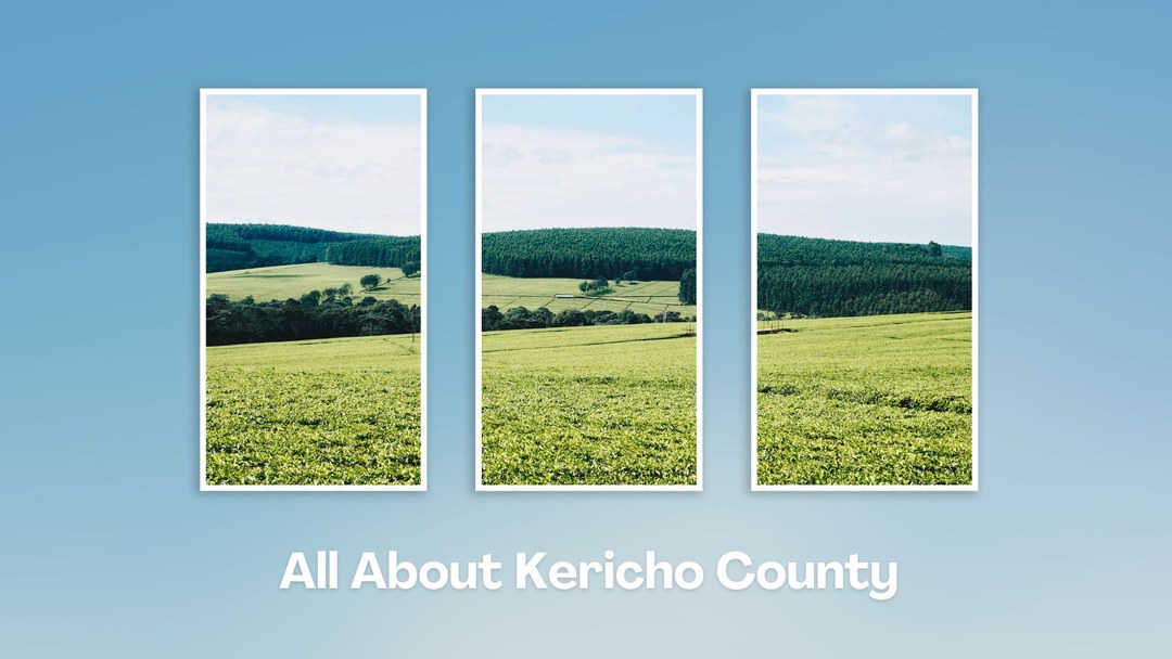 Kericho County（凯里乔县）-非行家旅行-Africa Wild Wander