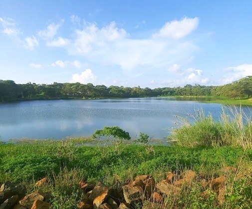 Kalundu Eco Park（卡伦杜生态公园）-非行家旅行-Africa Wild Wander