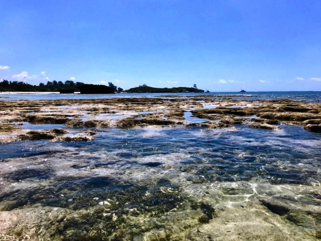 Watamu Beach（水系 / 湖泊 / 海岸）-非行家旅行-Africa Wild Wander