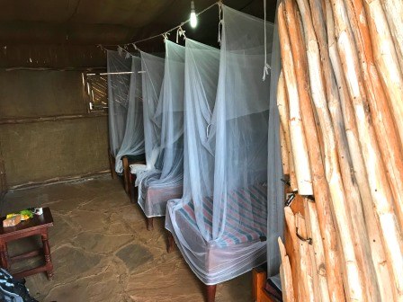 Camp Tsavo（住宿 / Safari 营地）-非行家旅行-Africa Wild Wander