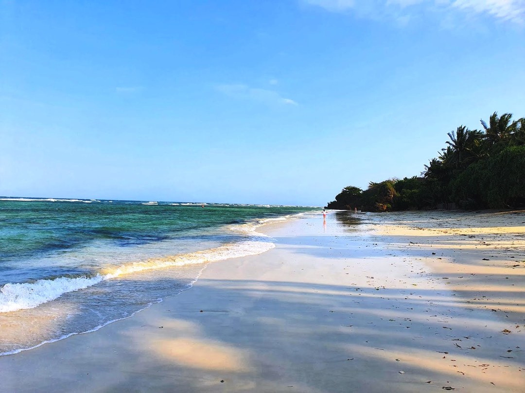 Msambweni Beach(海滩 / 岛屿)-非行家旅行-Africa Wild Wander