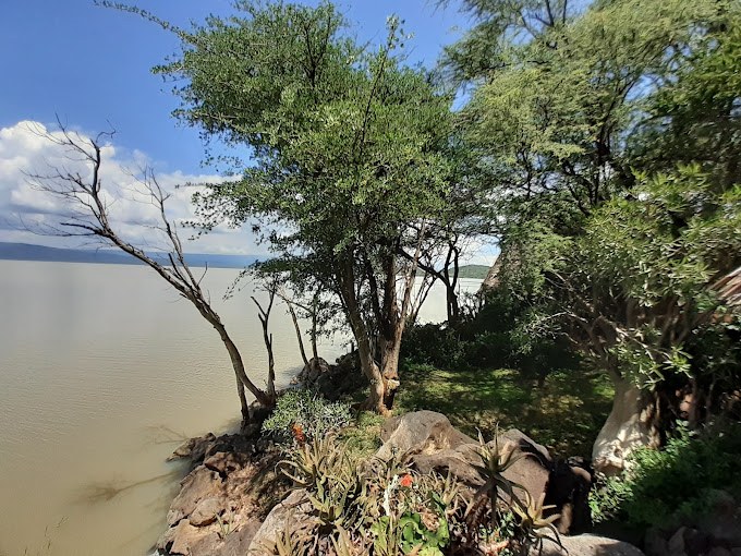 Samatian Island Lodge（萨马蒂安岛旅馆）-非行家旅行-Africa Wild Wander