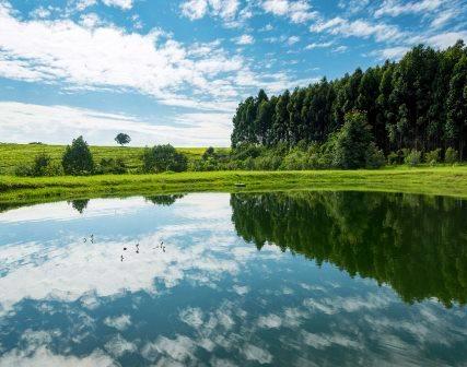 Kericho County（凯里乔县）-非行家旅行-Africa Wild Wander