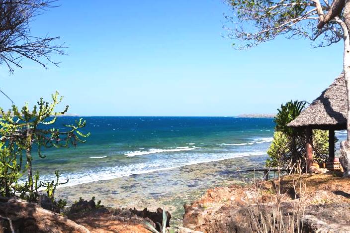 Wasini Island（瓦西尼岛）-非行家旅行-Africa Wild Wander