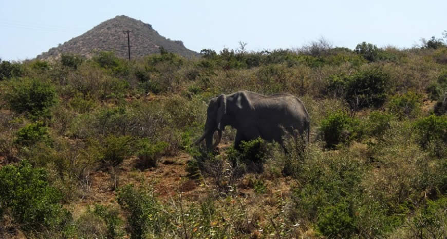Marsabit National Reserve and Park, Sibiloi National Park, Meru National Park, Mombasa Marine National Reserve and Park, Nairobi National Park（水系 / 湖泊 / 海岸）-非行家旅行-Africa Wild Wander