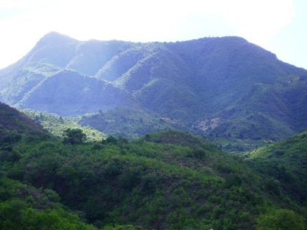 Forests in Kenya（水系 / 湖泊 / 海岸）-非行家旅行-Africa Wild Wander