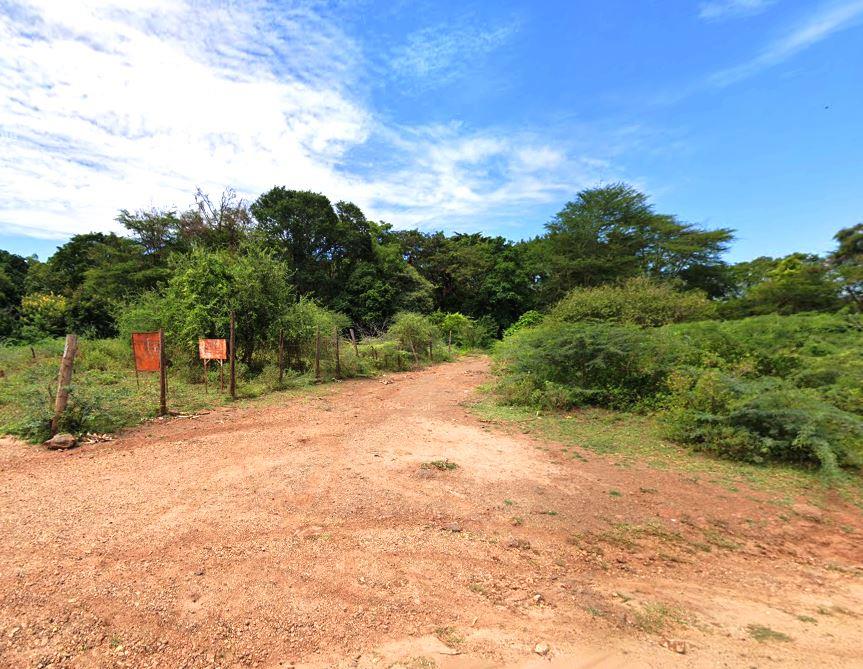 Njoro Springs（湖泊 / 泉水 / 湿地）-非行家旅行-Africa Wild Wander