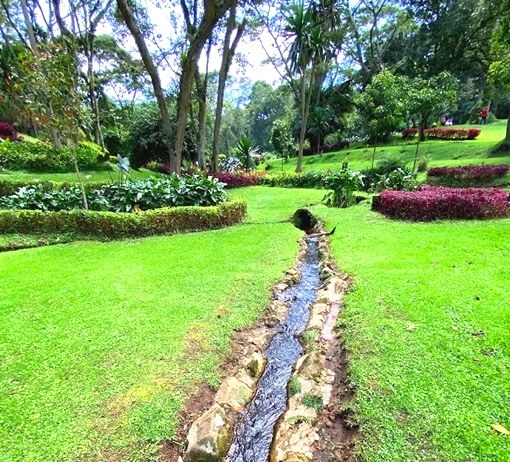 Kapsimotwa Gardens(住宿 / 休闲设施)-非行家旅行-Africa Wild Wander