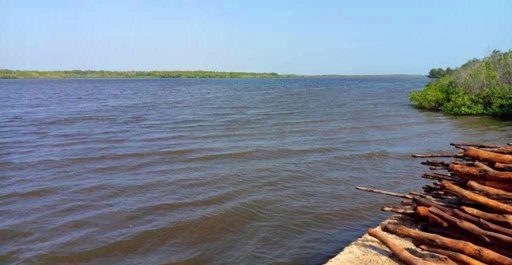 Kizuke Beach（海岛 / 海滩 / 船行体验）-非行家旅行-Africa Wild Wander