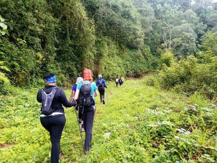 Kamweti Route（卡姆韦蒂登山线）-非行家旅行-Africa Wild Wander