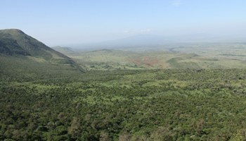 The Foothills（自然景观 / 徒步）-非行家旅行-Africa Wild Wander