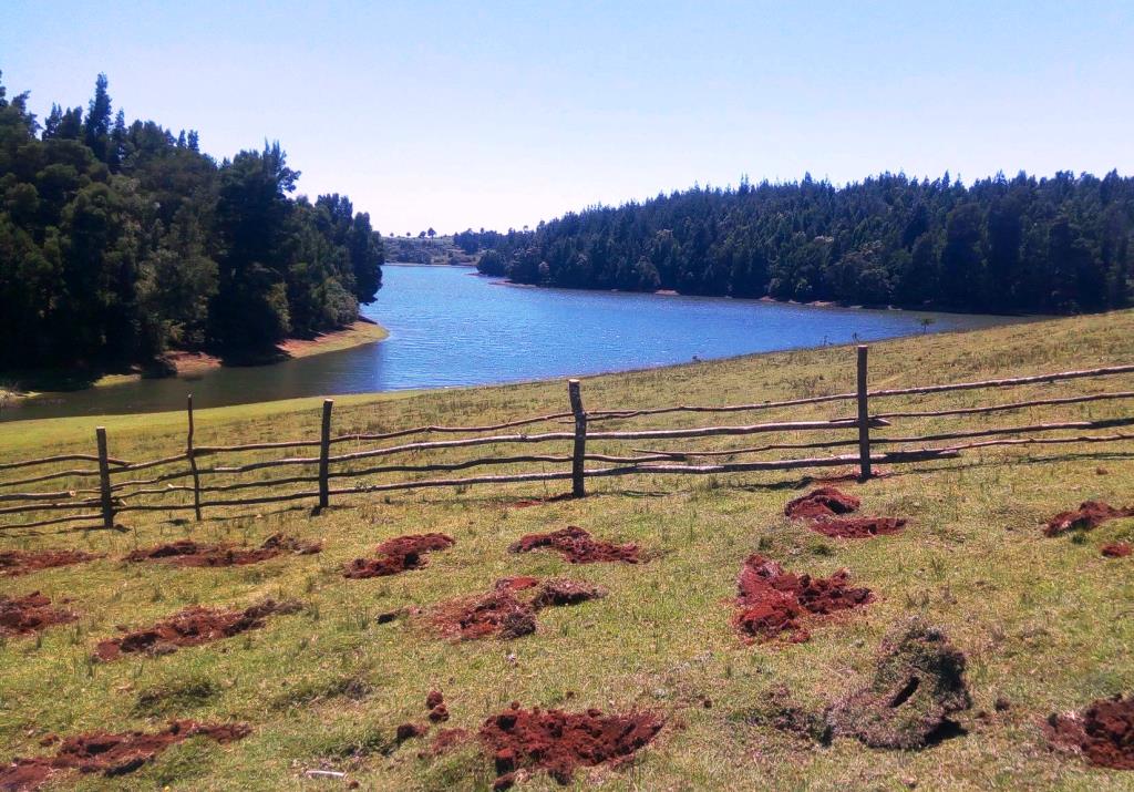 Nyandarua County（年达鲁阿县）-非行家旅行-Africa Wild Wander