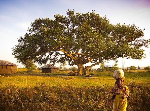Migori County（米戈里县）-非行家旅行-Africa Wild Wander