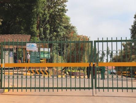 Weru Tea Factory（韦鲁茶厂）-非行家旅行-Africa Wild Wander