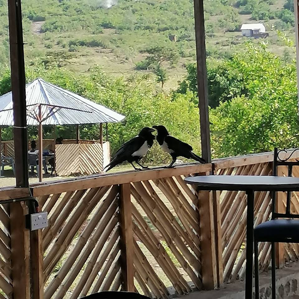 BJs Ranch（水系 / 湖泊 / 海岸）-非行家旅行-Africa Wild Wander