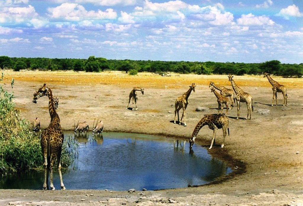 Malka Mari National Park（国家公园 / 保护区 / Safari）-非行家旅行-Africa Wild Wander